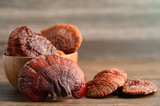 Unlock the Sleep-Enhancing Powers of Reishi Mushroom