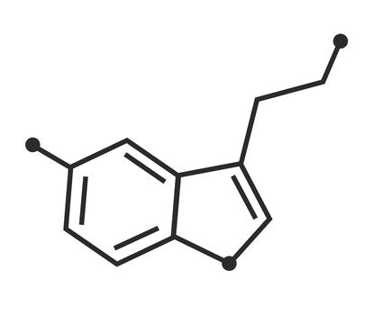 Unlocking Sleep: Understanding Serotonin's Crucial Role